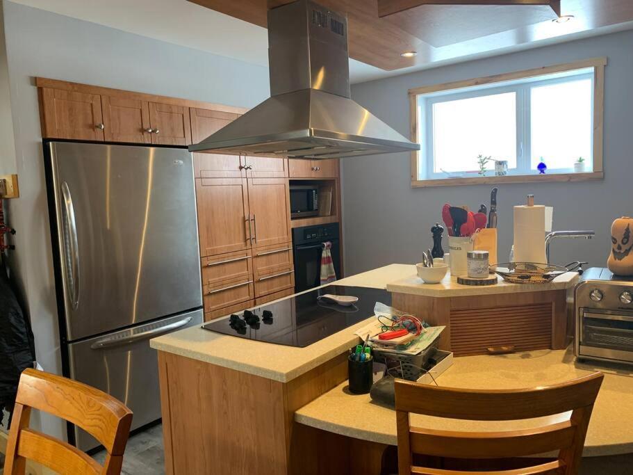 Appartement Mont Edouard, Hebergement Paisible A La Montagne LʼAnse-Saint-Jean Dış mekan fotoğraf