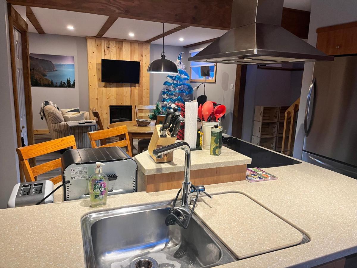 Appartement Mont Edouard, Hebergement Paisible A La Montagne LʼAnse-Saint-Jean Dış mekan fotoğraf